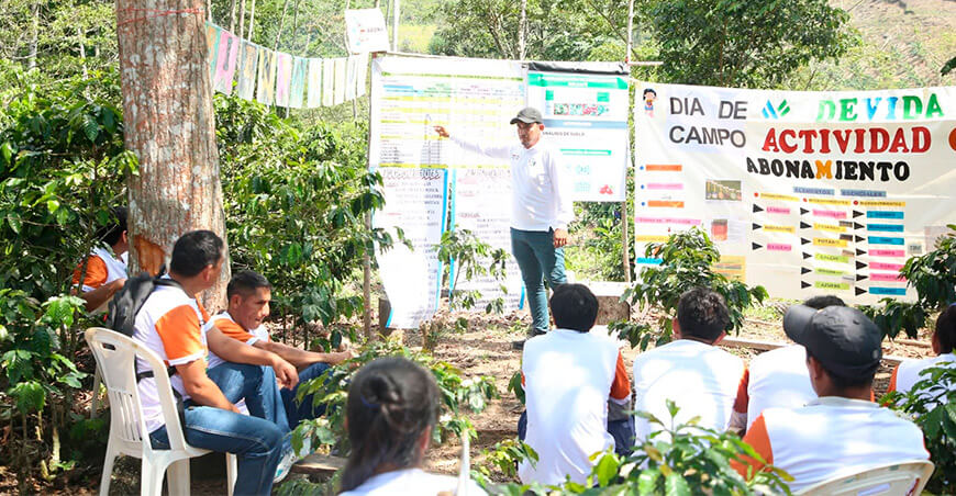 Devida impulsa Día de Campo para fortalecer capacidades de productores de café de Shunté San Martín Perú