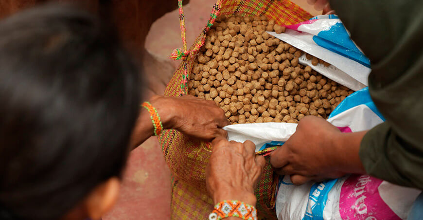 Devida entrega alimento para peces paco acuicultura Vraem Perú
