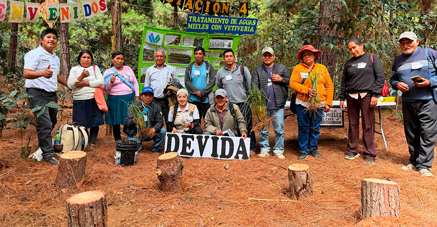 Devida impulsa renovación de cafetales en Calca y La Convención Cusco Escuelas de Campo para Agricultores