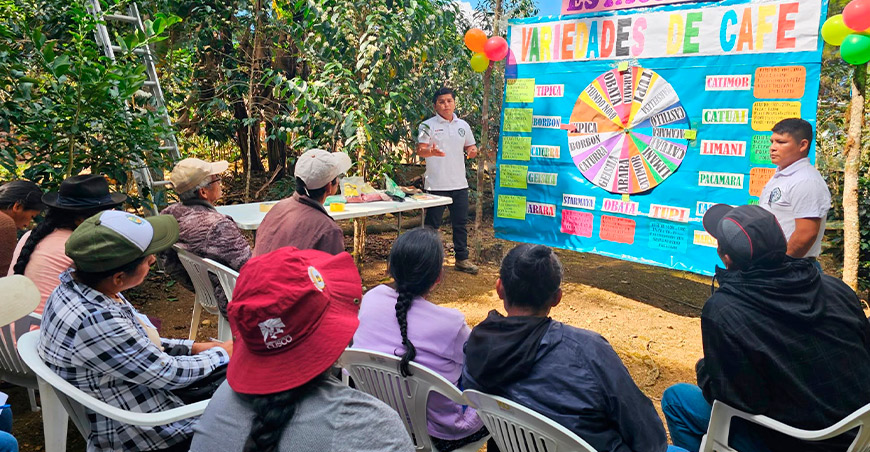 Devida impulsa renovación de cafetales en Calca y La Convención Cusco Escuelas de Campo para Agricultores