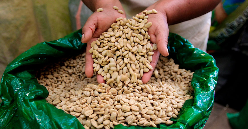 Subasta Nacional de Cafés de Especialidad Devida Perú