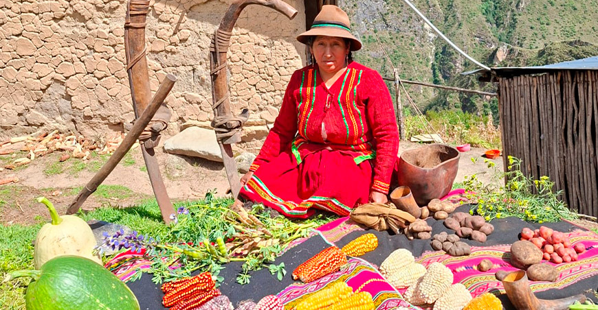 FAO reconoce a la peruana Rita Parcco Pumapillo entre las 100 Mujeres Heroínas en los Sistemas Agroalimentarios y el Desarrollo Rural