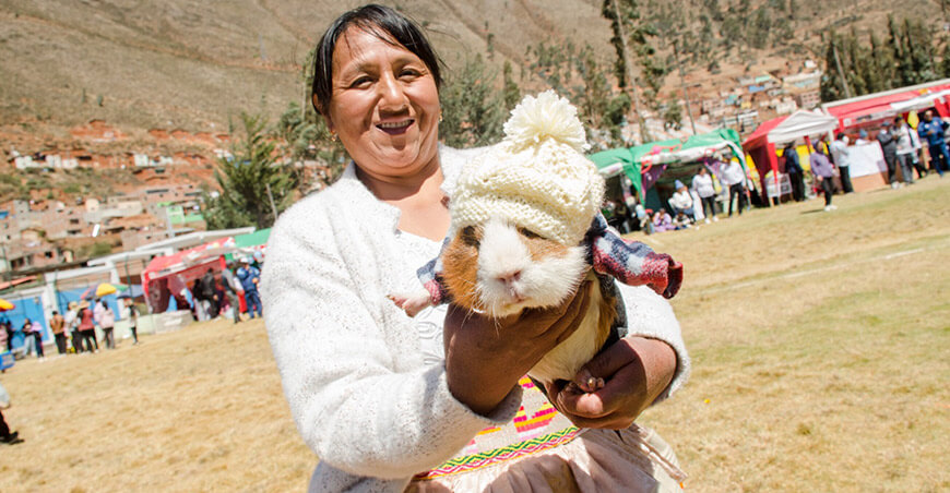Foncodes impulsa crianza de animales menores cuyes en Palca Junín Perú