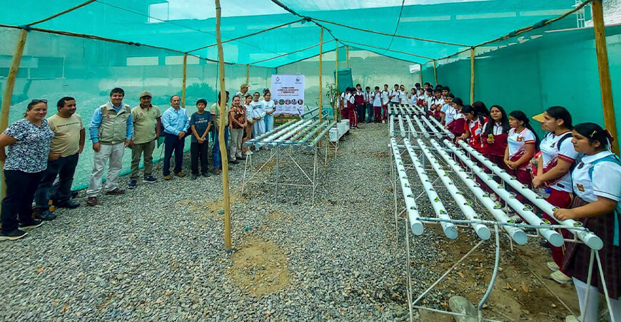 Capacitan a productores y estudiantes en el manejo de cultivos hidropónicos Lambayeque Perú