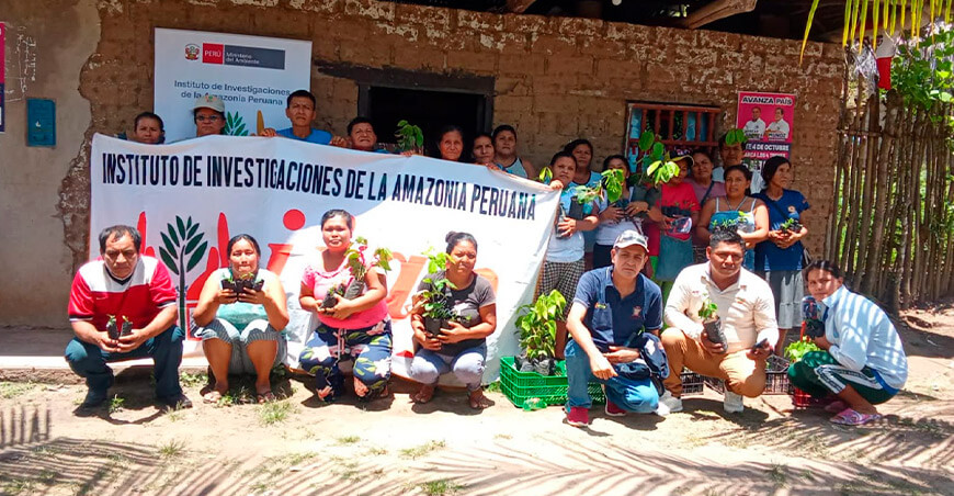 Productores de Santa Cruz elaboran biofertilizante para mejorar el rendimiento del cacao en San Martín IIAP Perú