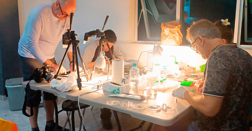Expedición científica estudia peces de las cuencas de los ríos Chamaya y Utcubamba Amazonas Perú