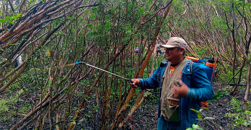 IIAP impulsa medidas preventivas para proteger cultivos ante menor disponibilidad de agua en la Amazonía Perú