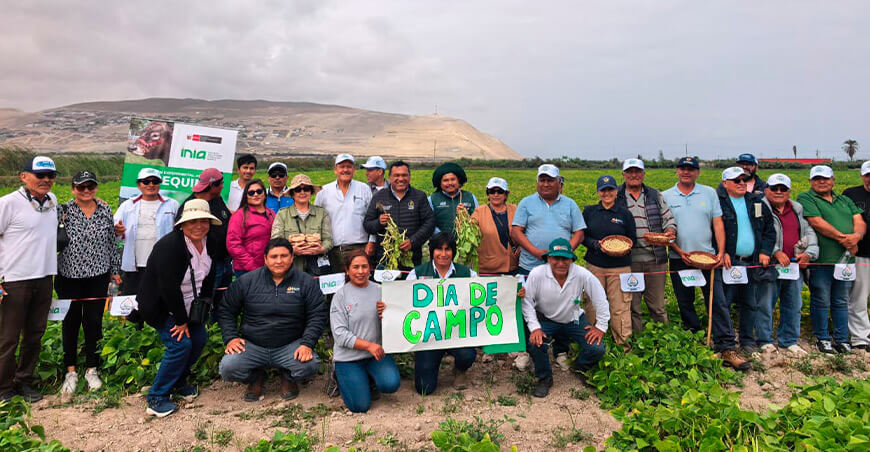 INIA capacita a productores de Arequipa en técnicas para mejorar la calidad genética del frijol