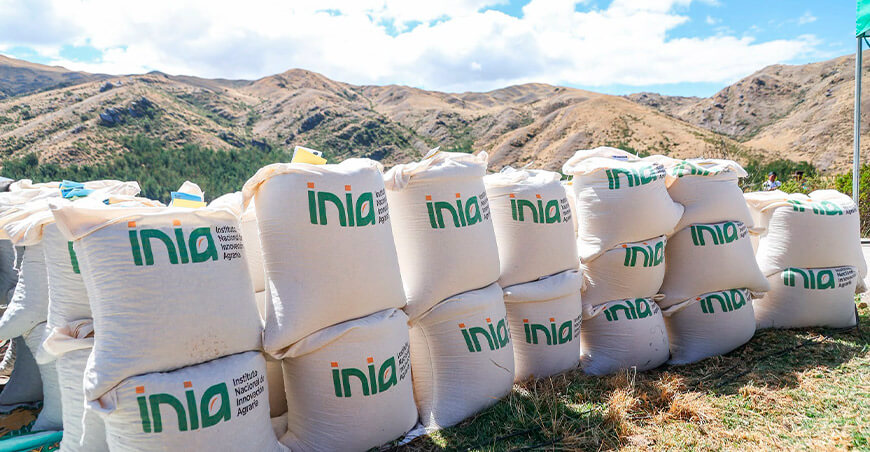 INIA entregó semillas alta calidad a productores de Cusco Perú