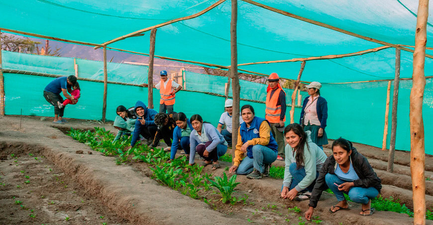 Vivero hortofrutícola abre nuevas opciones productivas en Sondorillo Piura Perú