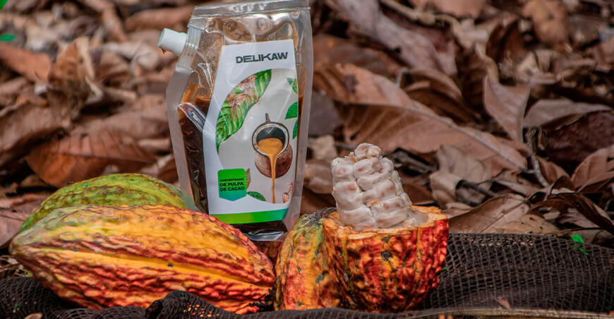 San Martín apuesta por el aprovechamiento integral del cacao
