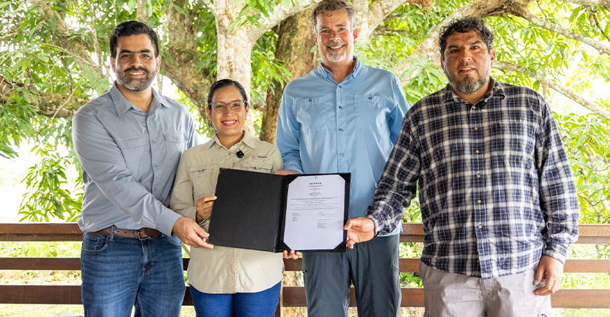 Palmicultora Ocho Sur Ucayali Perú