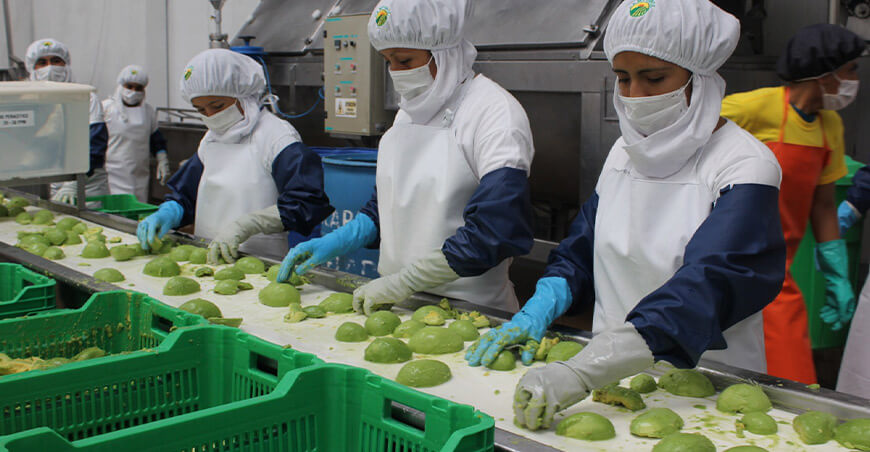 Perú exportaciones de palta procesada peruana