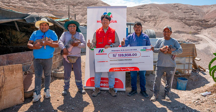 Productores de San Antonio reciben equipos y capacitación para la crianza porcina Moquegua Perú