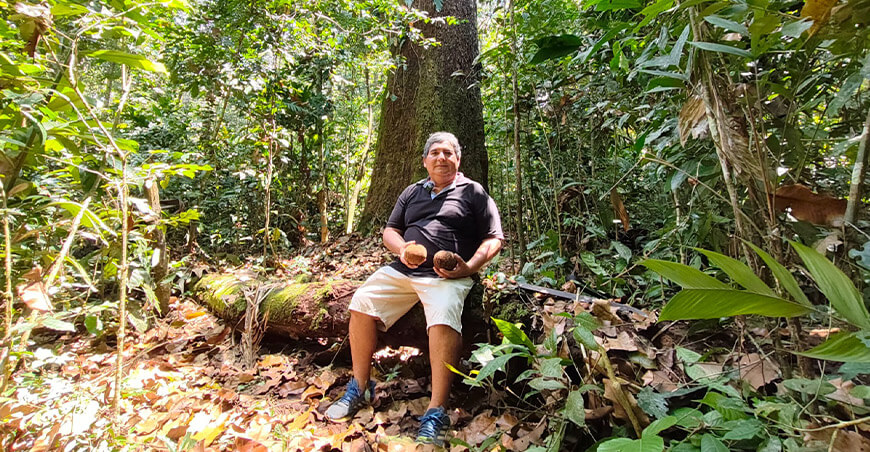 un legado familiar que vive en el bosque entre castaños Madre de Dios productores de castaña
