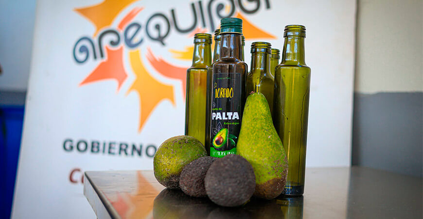 Productores de Aplao transformarán la palta en aceite extra virgen Arequipa Perú