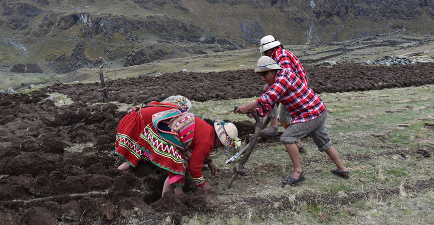 productores conservacionistas Zona de Agrobiodiversidad (ZABD) Paymakis en la región Apurímac Perú