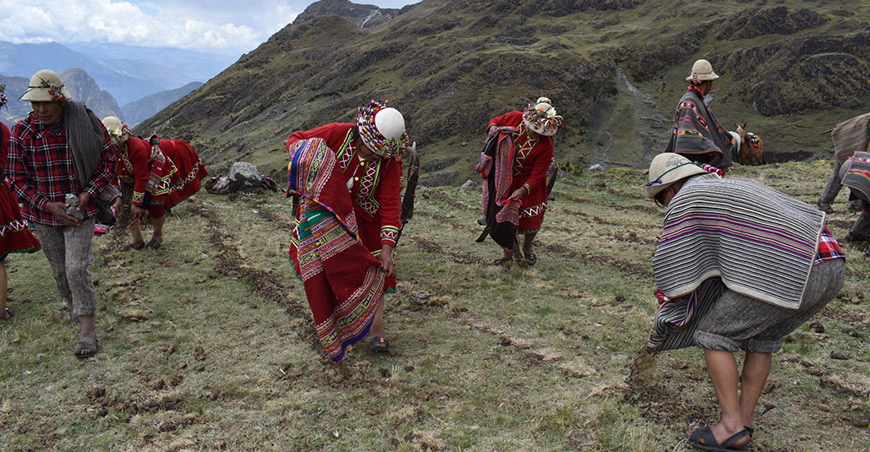 productores conservacionistas Zona de Agrobiodiversidad (ZABD) Paymakis en la región Apurímac Perú