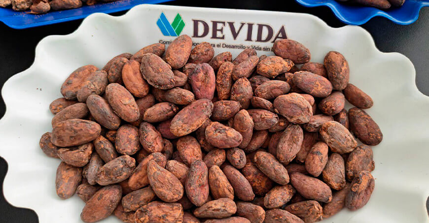 Devida inicia formación de 36 productores como catadores de cacao Perú