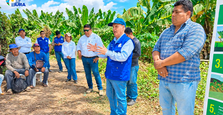 Productores del sector La Pampa conforman Comité de Sanidad para reforzar vigilancia del banano ante el Fusarium R4T Piura Perú 