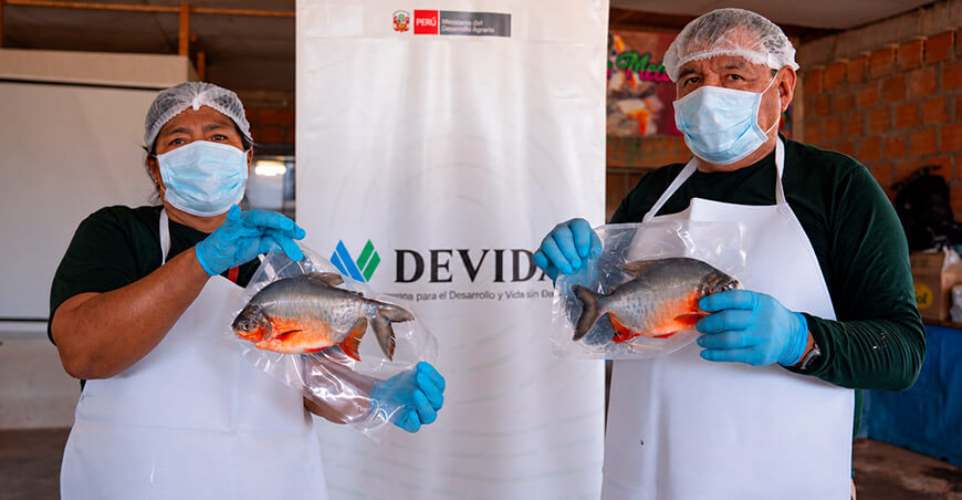 Productores de Neshuya con envasado al vacío impulsarán comercio del paco Ucayali Perú Devida
