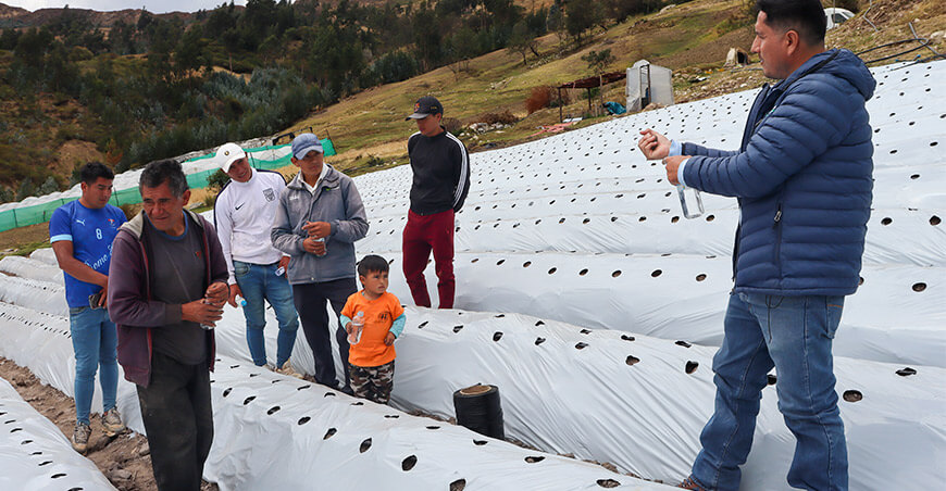 Proyecto Especial Chavimochic capacita a productores de palta Hass en Cascas en La Libertad Perú 