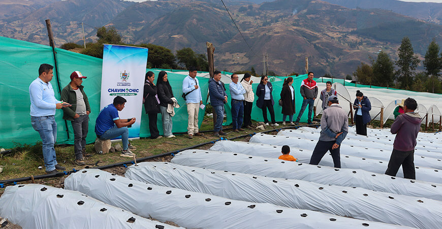 Proyecto Especial Chavimochic capacita a productores de palta Hass en Cascas en La Libertad Perú
