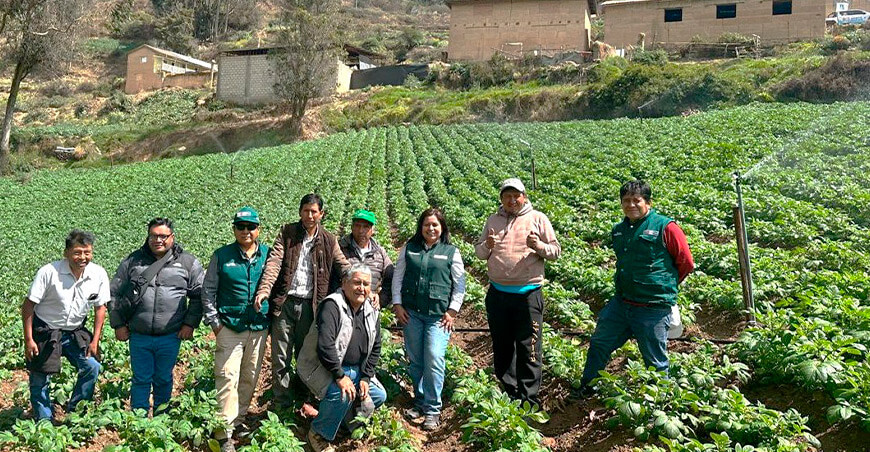 PSI impulsa la producción de 160 familias agricultoras en Junín con riego tecnificado riego por aspersión productores de Junín Perú 