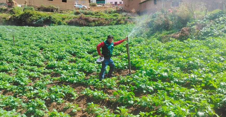 PSI impulsa la producción de 160 familias agricultoras en Junín con riego tecnificado riego por aspersión productores de Junín Perú