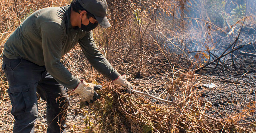 Quema agrícola puede desatar un incendio forestal y arrasar grandes extensiones en la Amazonía Perú