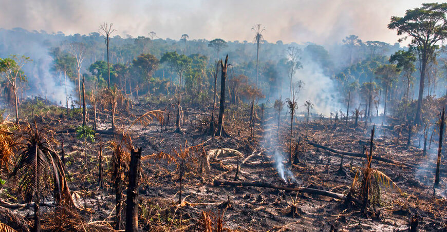 Quema agrícola puede desatar un incendio forestal y arrasar grandes extensiones en la Amazonía Perú 