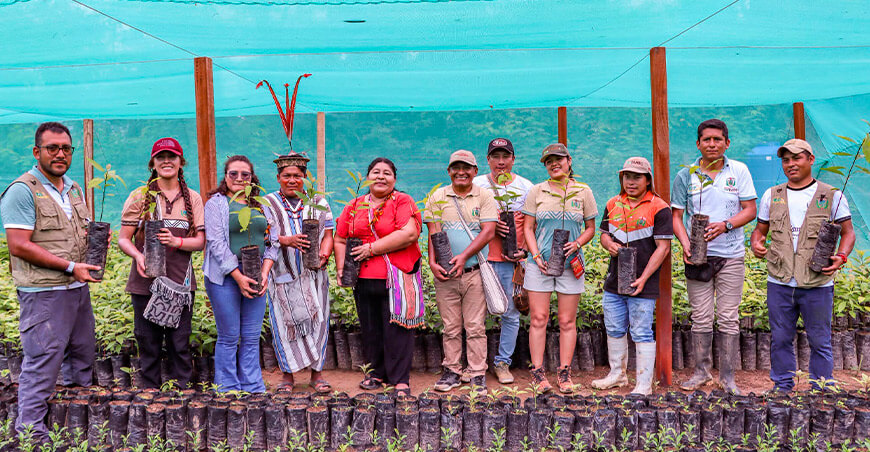 diversifican la producción agrícola en Río Tambo Junín Perú