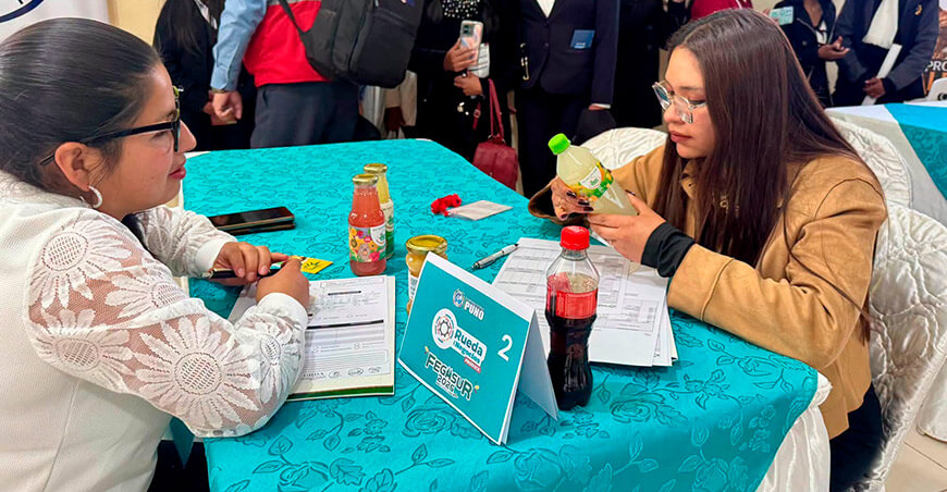 Rueda de negocios Fegasur Puno Perú