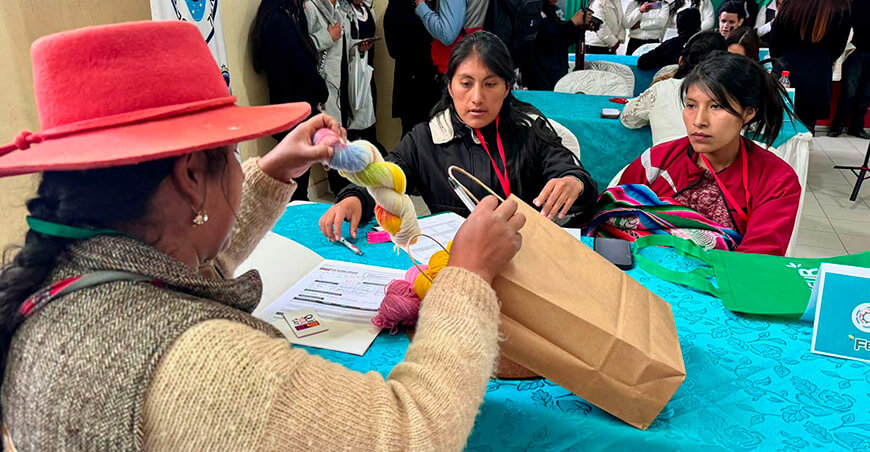 Rueda de negocios Fegasur Puno Perú