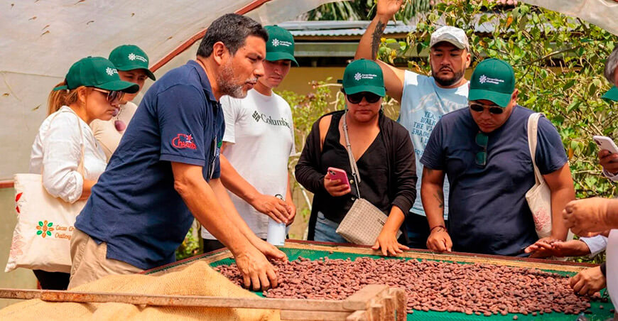 San Martín apuesta por el aprovechamiento integral del cacao