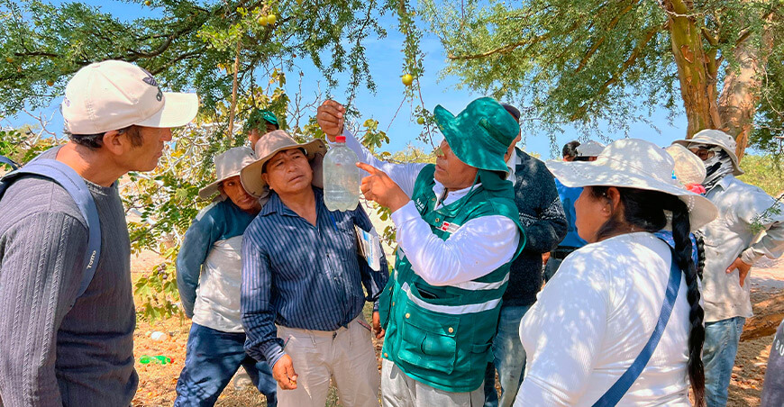Escuelas de Campo para Agricultores Senas Perú