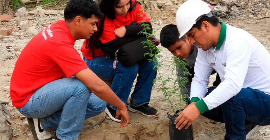 Serfor promueve forestería urbana con plantación de huarangos en Parcona Ica Perú