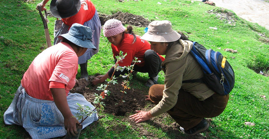 Serfor promueve certificación de competencias laborales para viveristas y técnicos en semillas forestales Áncash Perú