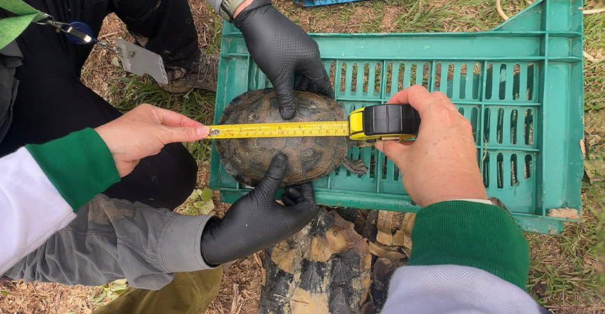  Serfor cumplió rol técnico y legal tras operativo contra el tráfico de fauna silvestre Loreto Perú