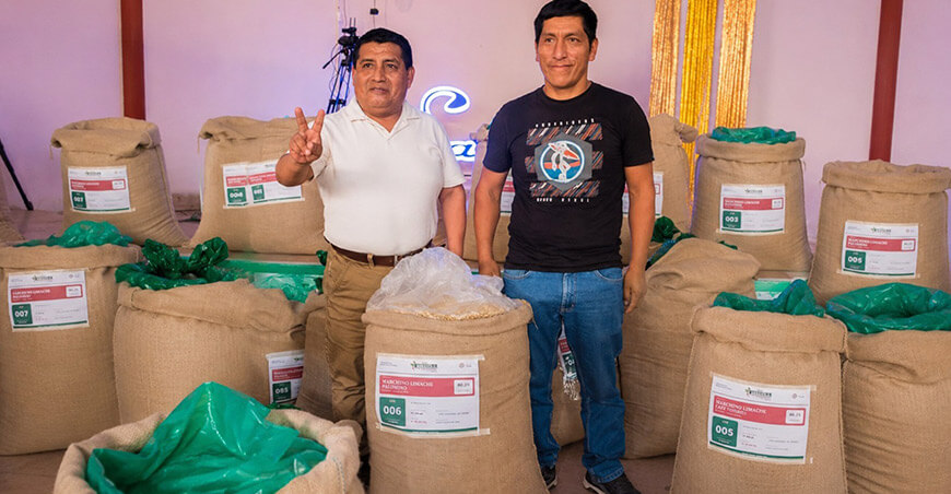 Subasta de cafés especiales de Satipo Junín Perú
