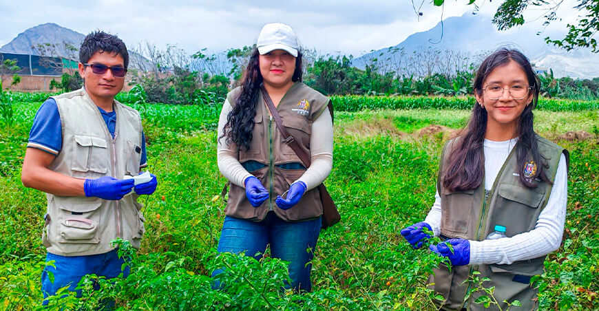 UNTRM y UNT Impulsan la conservación del ají Mochero mediante investigación y tecnología Perú