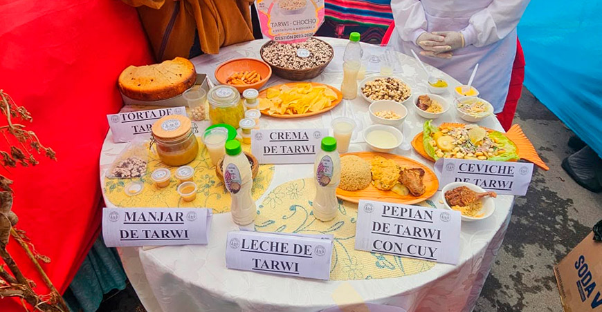 preparaciones del tarwi en la cocina Perú