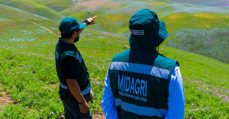 Serfor exhorta a proteger las lomas costeras de Tacna y Moquegua Perú