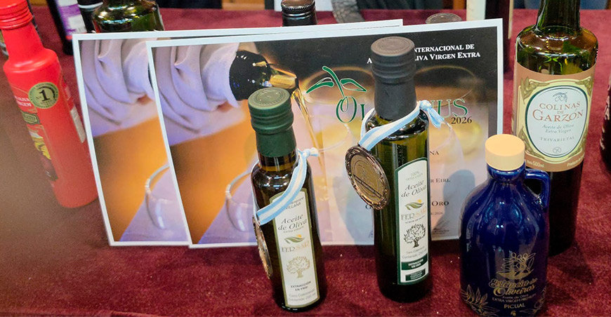 Aceite de oliva de Ilo destaca en concursos internacionales y obtiene 3 reconocimientos en Japón y Argentina