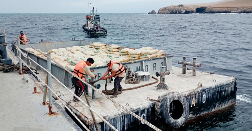 Retoman el traslado de guano de las islas de Macabí después de 17 años para beneficiar a la agricultura familiar Perú