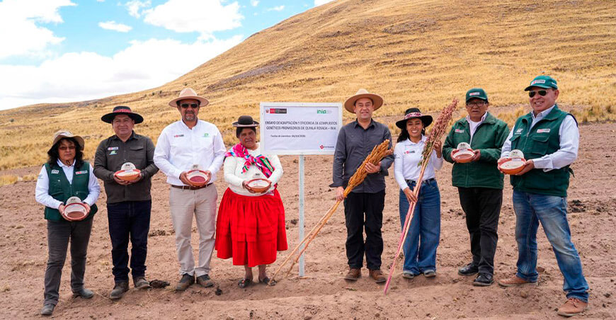 centro para almacenar y mejorar la comercialización de quinua en Puno Perú