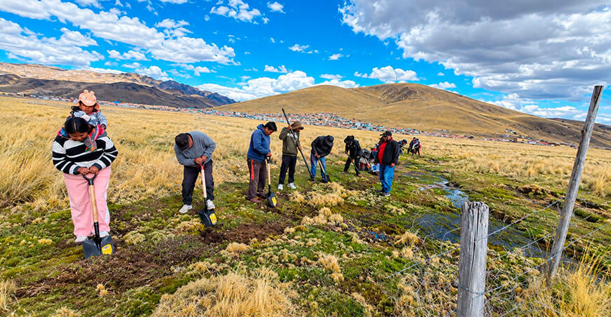 Productores de alpaca reciben herramientas para mejorar el manejo en campo Puno Perú