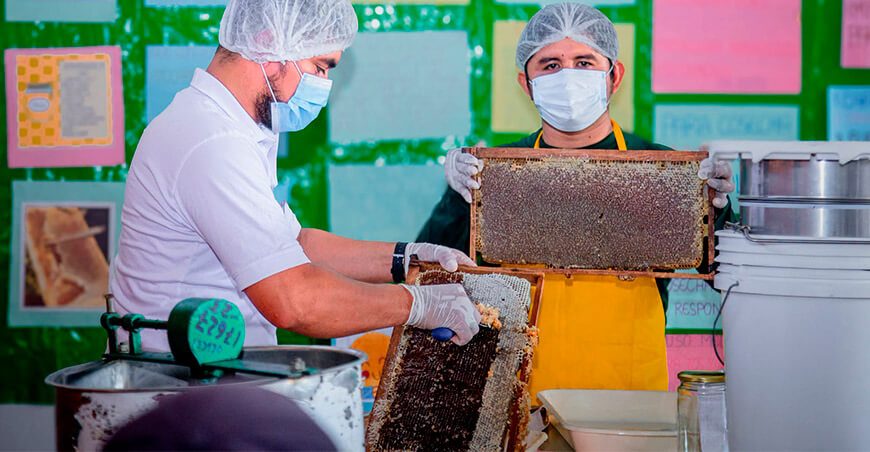 producción miel apicultores apicultura Alto Huallaga Huánuco Perú Devida