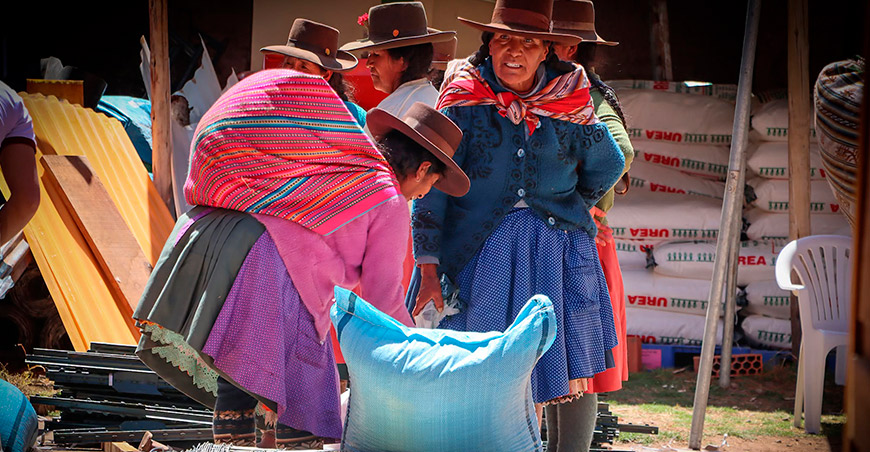 Promueven el engorde de ovinos y camélidos mediante módulos demostrativos en Paruro Cusco Perú