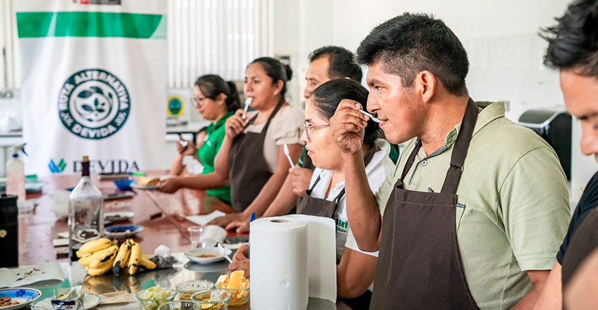jóvenes se capacitan en catación de cacao para mejorar sus conocimientos técnicos Vraem Perú Devida